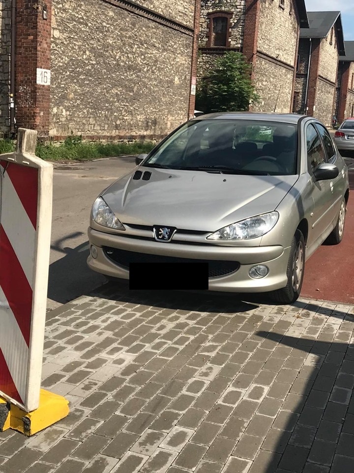 Zaparkowane samochody na sciezkach8