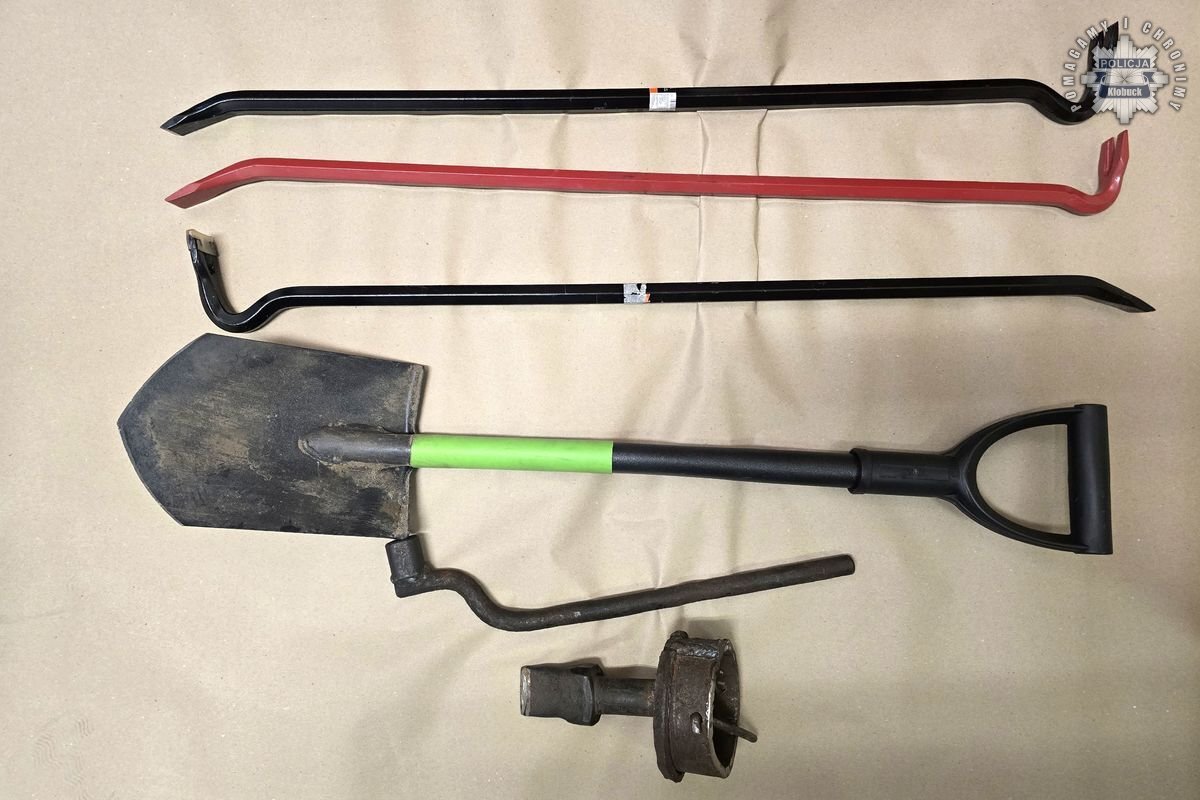 Zorganizowana grupa przestepcza