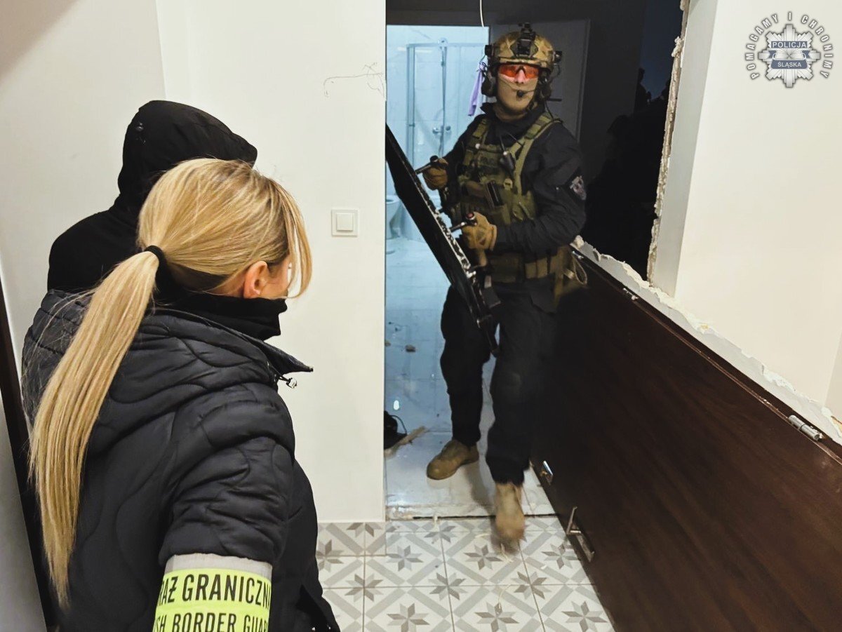 Zorganizowana grupa przestepcza