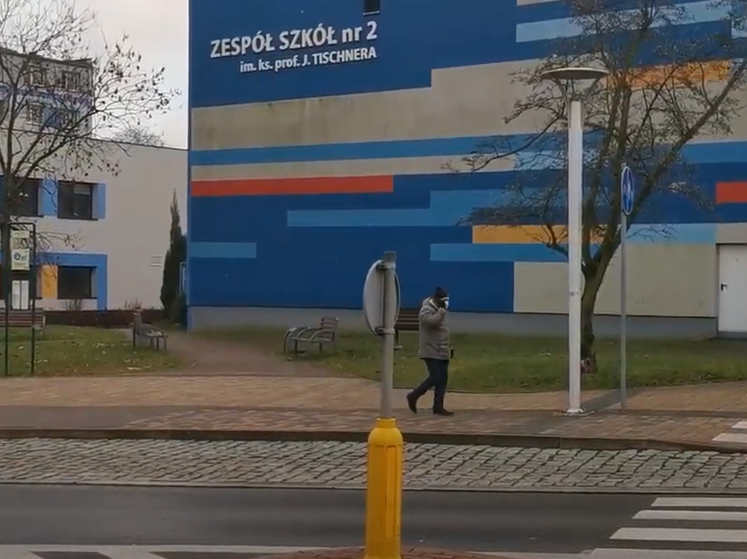 Zoryczujnik