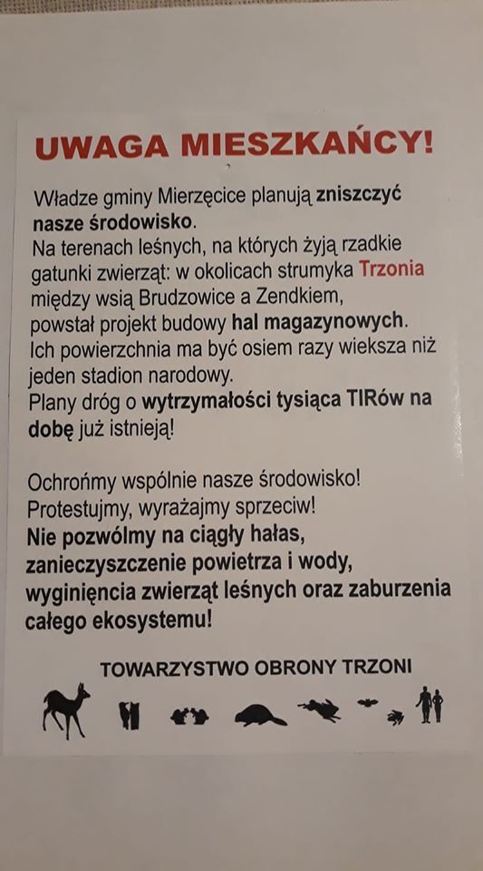 Zwierzeta